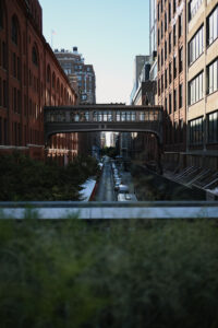 Read more about the article The High Line, NYC